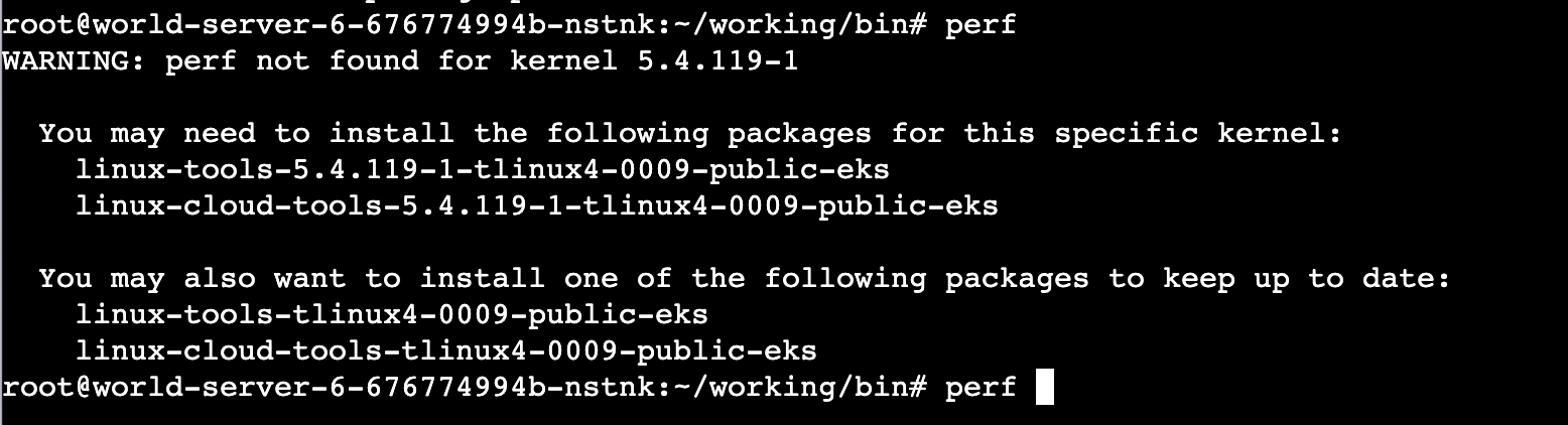 ubuntu_install_perf_error_1